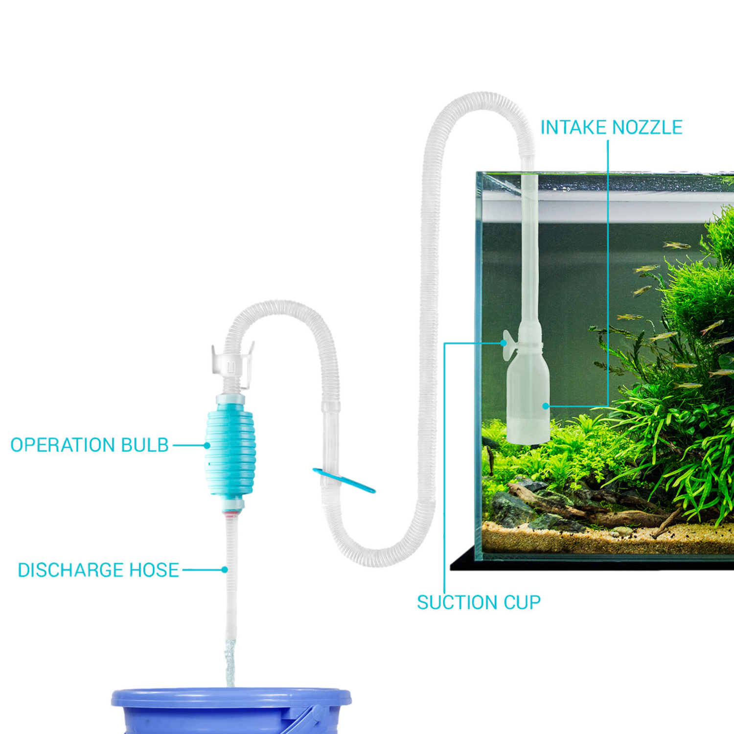 Aquarium Cleaning & Drainage Pumps